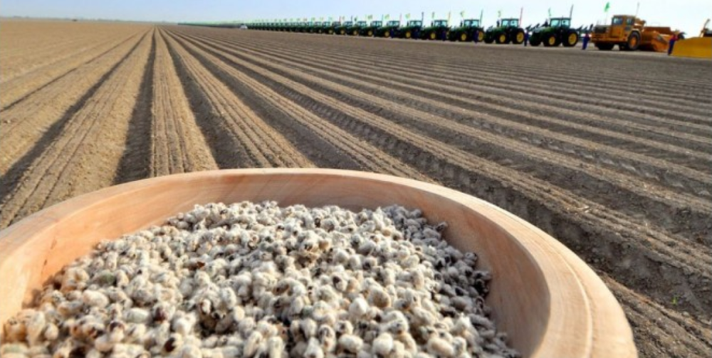 GOWAÇA EKIŞINE BADALGA BERILDI