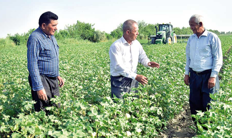 Be­re­ketli pel­ler­de yhlasly zäh­met gaý­nap joş­ýar