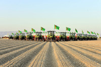 Türkmenistanda bugdaýyň täze üç görnüşi döredildi