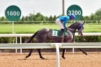 Lebap welaýatynyň atçylyk-sport toplumynda ýazky at çapyşyk möwsümine badalga berildi