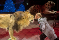 Şowhunly çykyşlar!