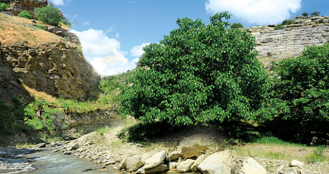 Ekologiýa howpsuzlygyna bagyşlanan okuw maslahaty geçirildi