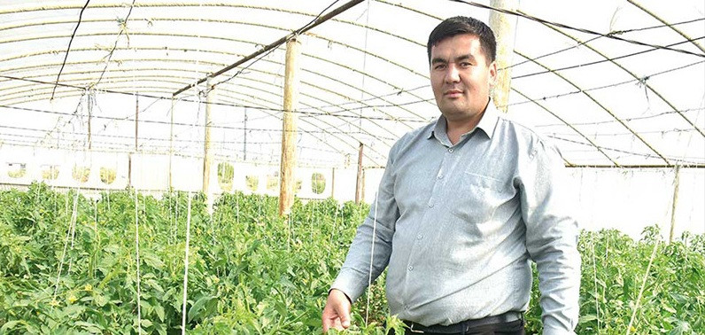 Köýtendagly hususyýetçi pomidor we bolgar burçundan 160 tonna hasyla garaşýar