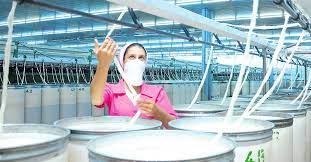 Ýüplük önümçiligi artýar