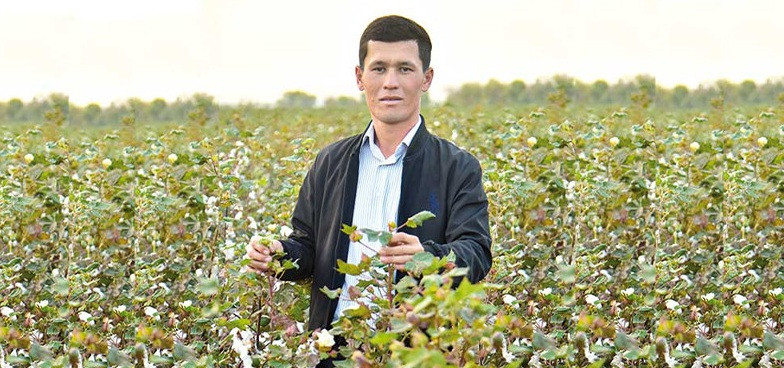 Ýaş daýhan şu ýyl 80 tonna pagta tabşyrmagy meýilleşdirýär