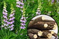 Üstünlige tarap ýol