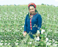 Ak hanalar — ak arzuwlar