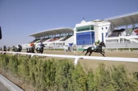 Çärjew etrabynda 200 baş ata niýetlenen athana gurlar